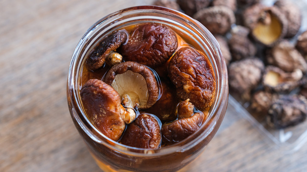 Shiitake – Kökets Umami
