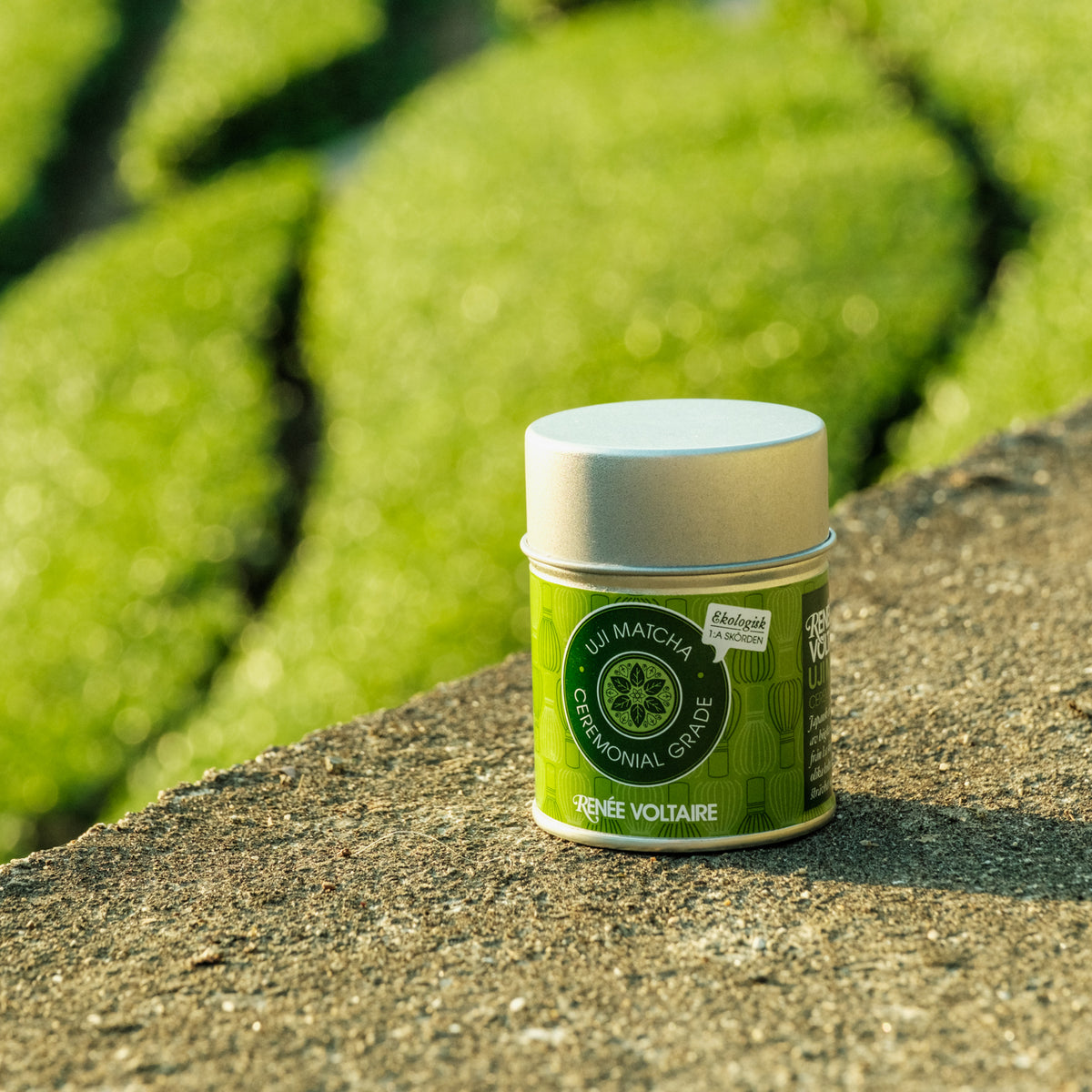 Premium ceremonial grade matcha av hög kvalitet från Japan, ekologiskt grönt tepulver för matcha latte och te