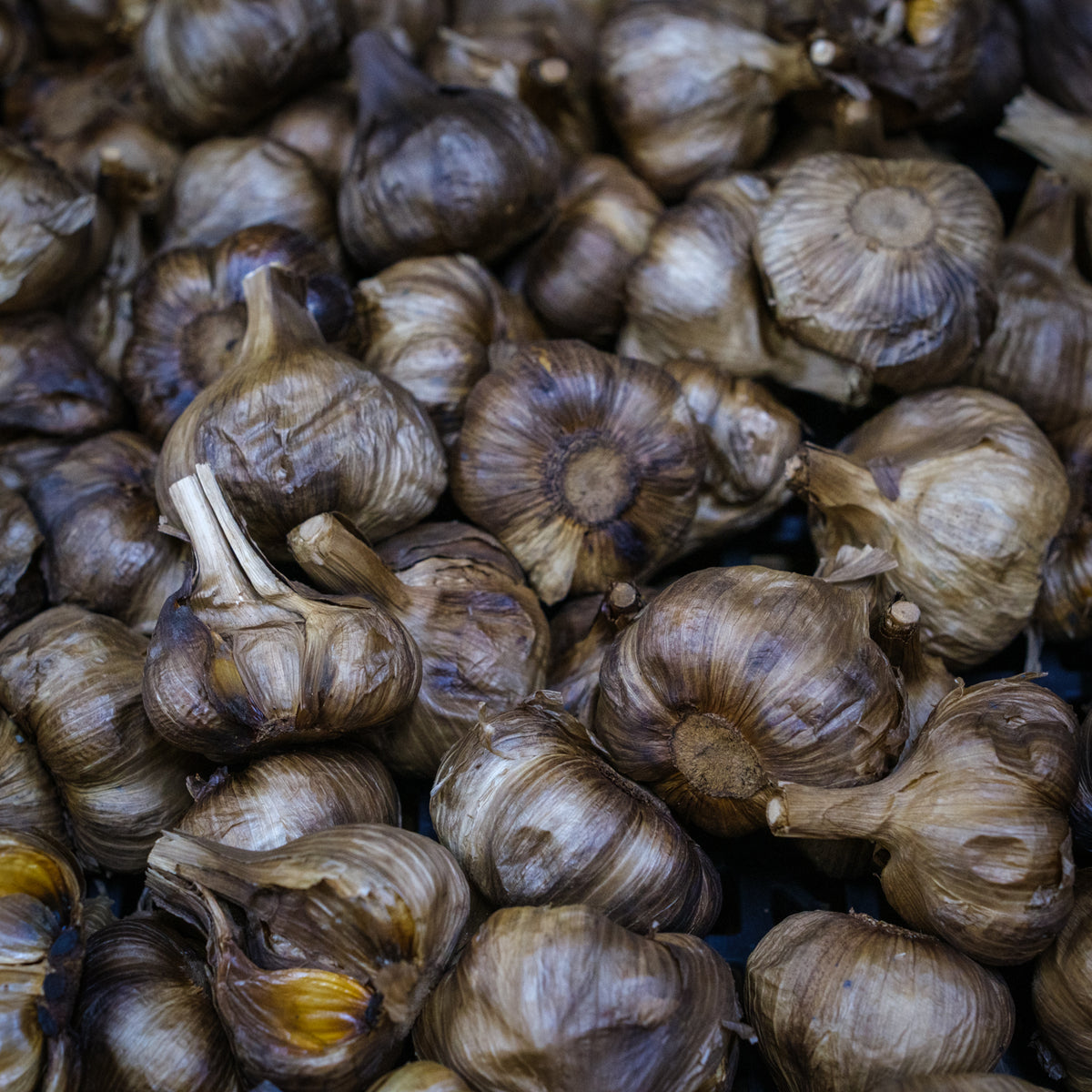 Svart Vitlök – Söt Umami (90g)